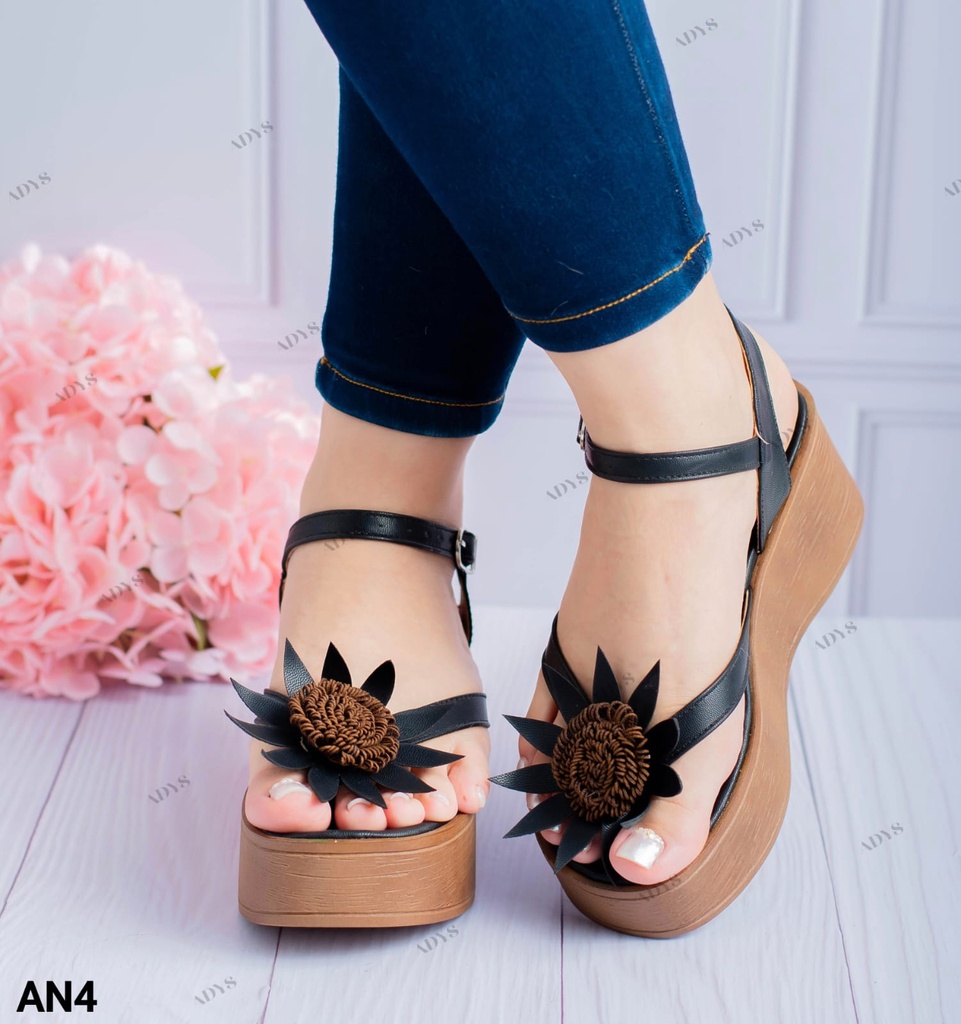 AN4 -  Plataforma Ana