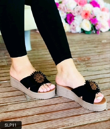 SLP11 -  Plataforma Emily