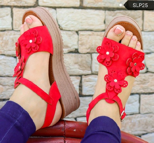 SLP25 -  Plataforma Emily