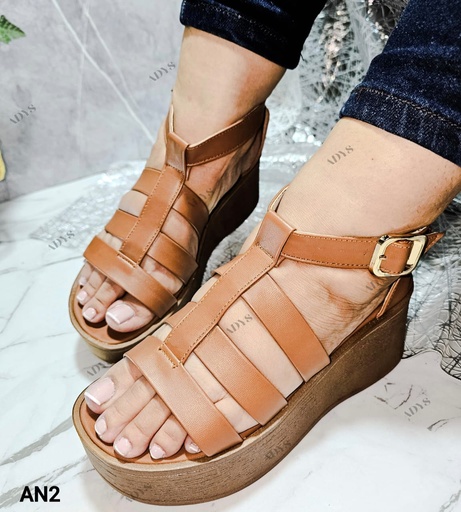 AN2 -  Plataforma Ana